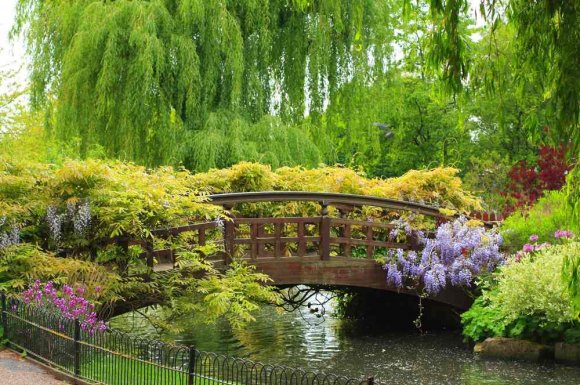 Création de jardin zen japonais - Bourgoin-Jallieu - CRE'ELAGAGE