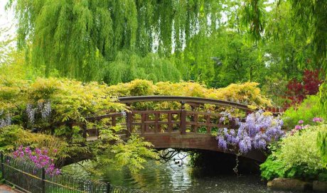 Création de jardin zen japonais - Bourgoin-Jallieu - CRE'ELAGAGE