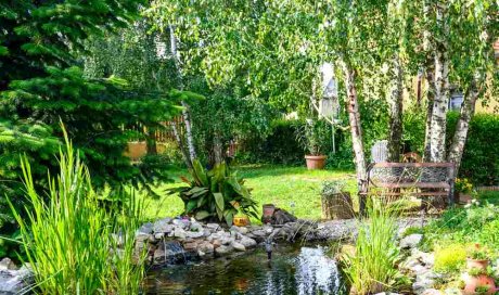 Création de jardin zen japonais - Bourgoin-Jallieu - CRE'ELAGAGE