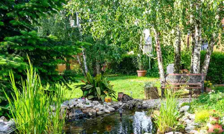 Création de jardin zen japonais - Bourgoin-Jallieu - CRE'ELAGAGE